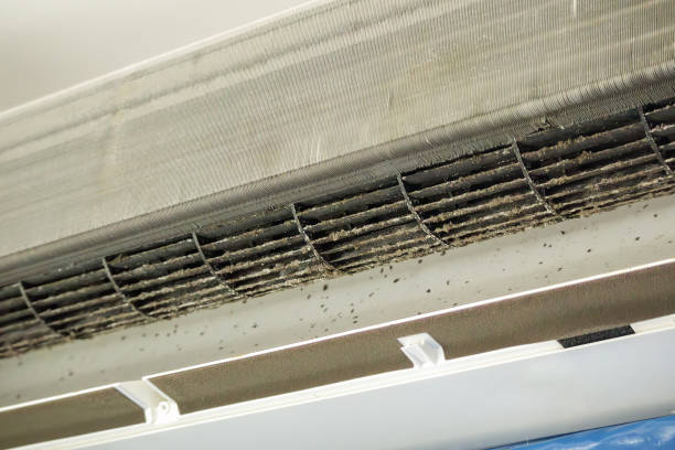 Best HVAC System Cleaning  in Georgetown, CA